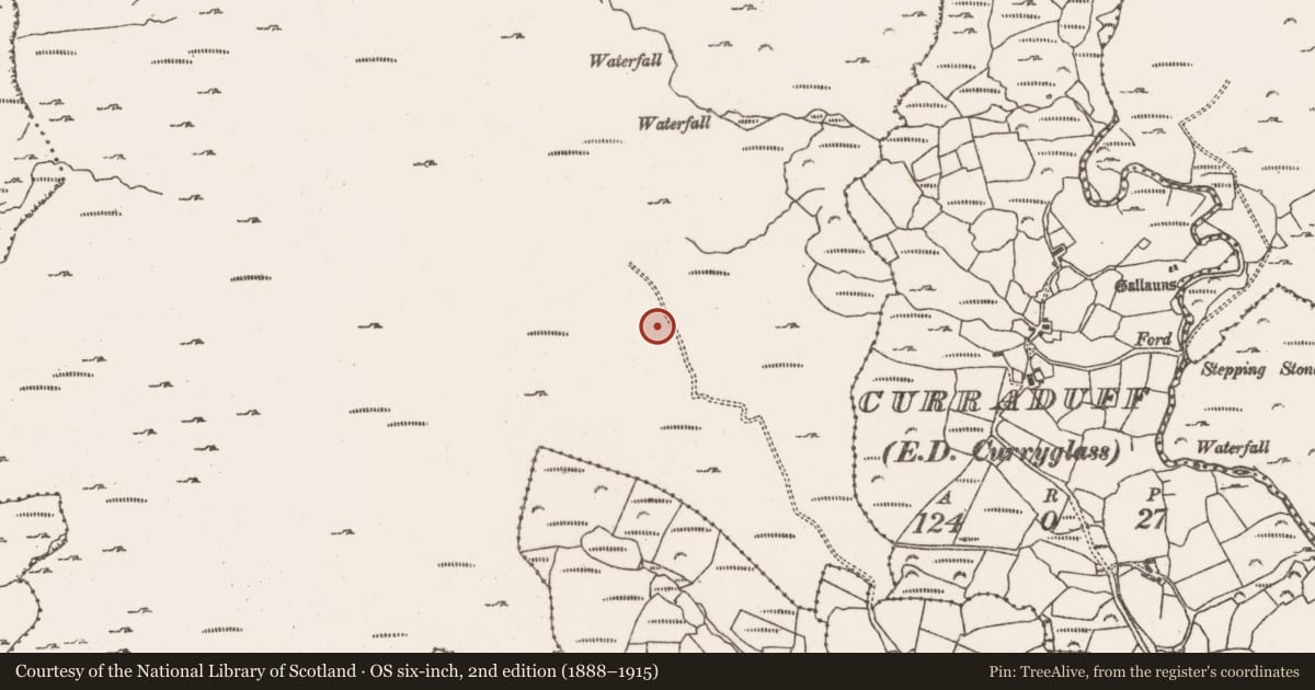 Ordnance Survey six-inch map, 2nd edition (1888–1915) covering the location of Hut site, Rossmackowen Commons, County Cork, with a pin at the register's coordinates