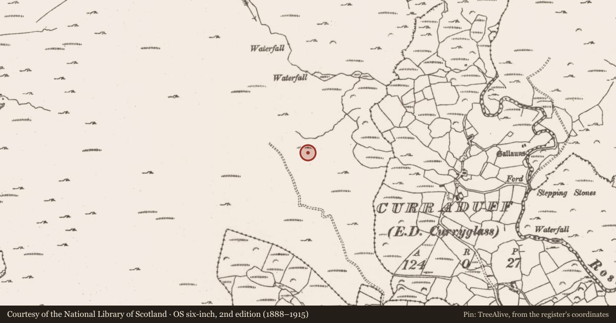 Ordnance Survey six-inch map, 2nd edition (1888–1915) covering the location of Hut site, Rossmackowen Commons, County Cork, with a pin at the register's coordinates