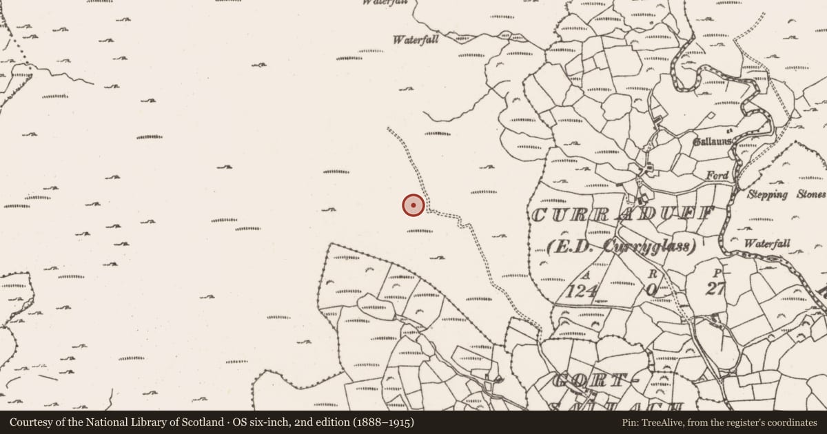 Ordnance Survey six-inch map, 2nd edition (1888–1915) covering the location of Field boundary, Rossmackowen Commons, County Cork, with a pin at the register's coordinates