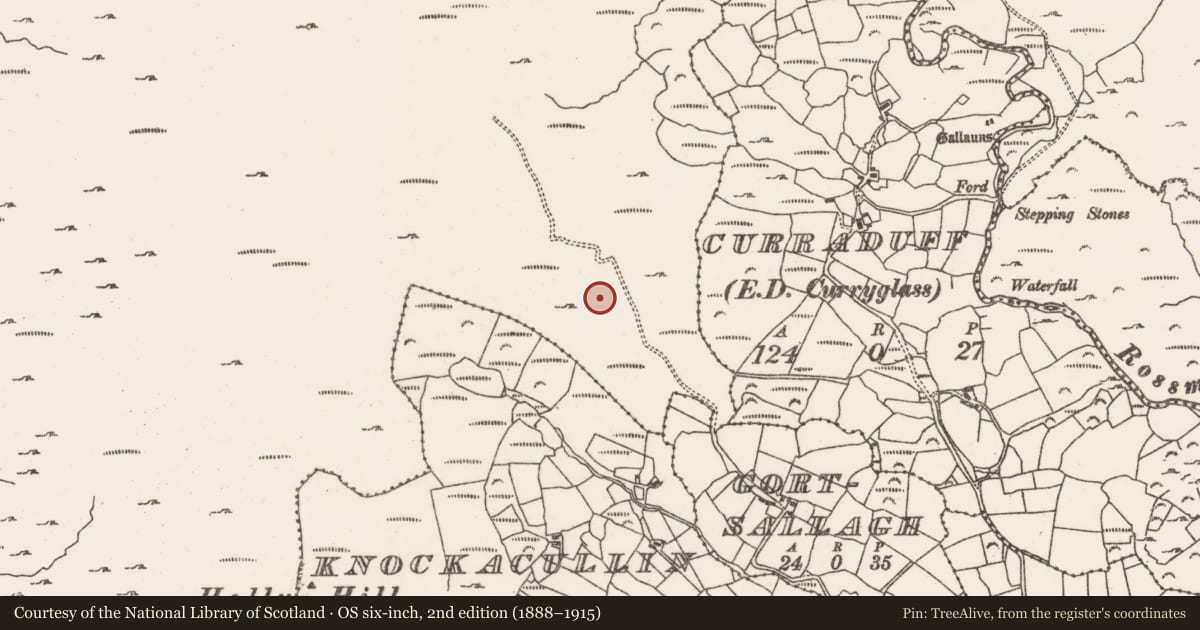 Ordnance Survey six-inch map, 2nd edition (1888–1915) covering the location of Cairn - unclassified, Rossmackowen Commons, County Cork, with a pin at the register's coordinates