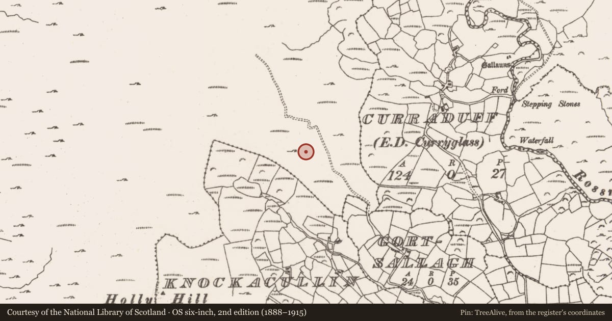 Ordnance Survey six-inch map, 2nd edition (1888–1915) covering the location of Cairn - unclassified, Rossmackowen Commons, County Cork, with a pin at the register's coordinates