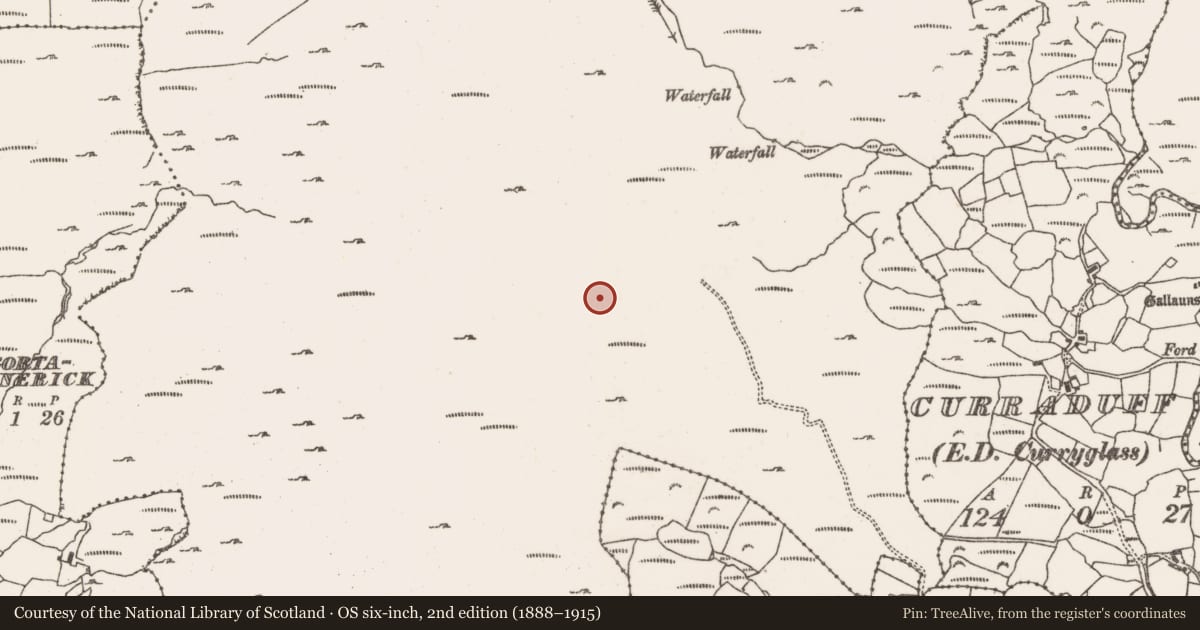 Ordnance Survey six-inch map, 2nd edition (1888–1915) covering the location of Hut site, Rossmackowen Commons, County Cork, with a pin at the register's coordinates