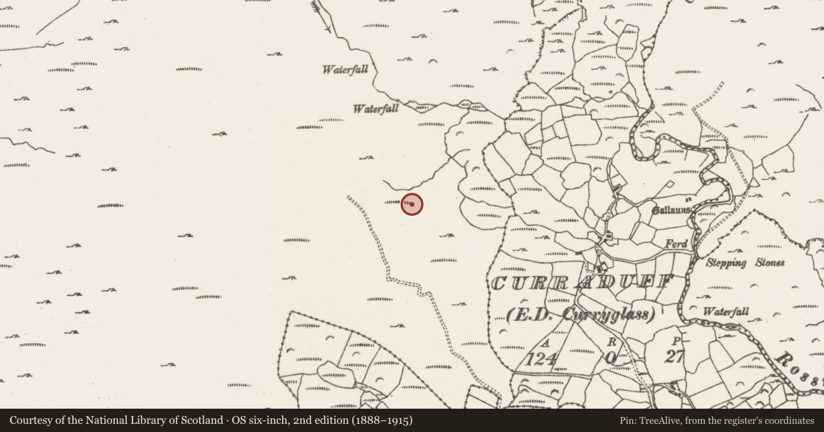 Ordnance Survey six-inch map, 2nd edition (1888–1915) covering the location of Cairn - unclassified, Rossmackowen Commons, County Cork, with a pin at the register's coordinates