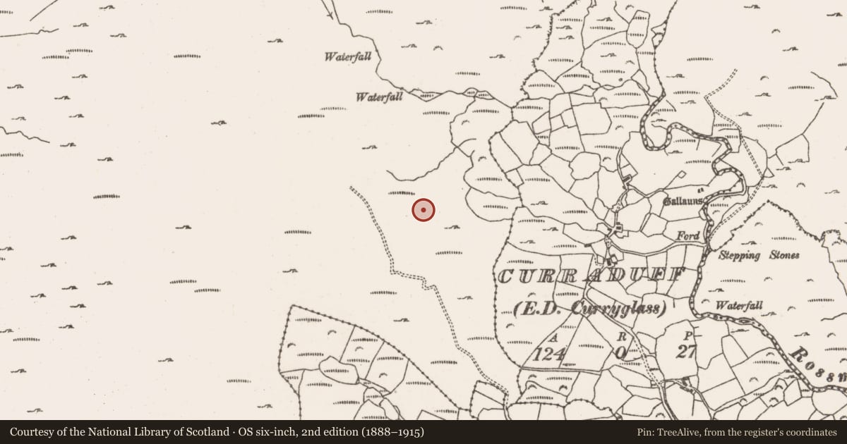 Ordnance Survey six-inch map, 2nd edition (1888–1915) covering the location of Cairn - unclassified, Rossmackowen Commons, County Cork, with a pin at the register's coordinates