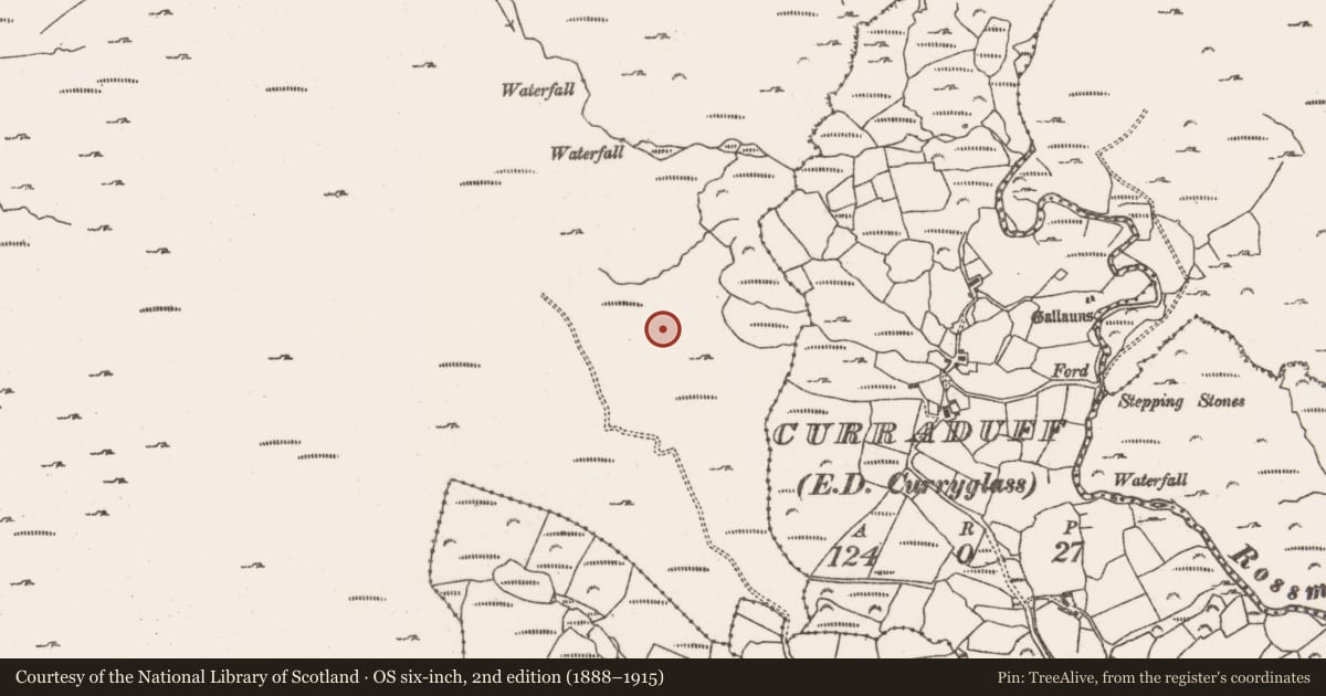 Ordnance Survey six-inch map, 2nd edition (1888–1915) covering the location of Cairn - unclassified, Rossmackowen Commons, County Cork, with a pin at the register's coordinates