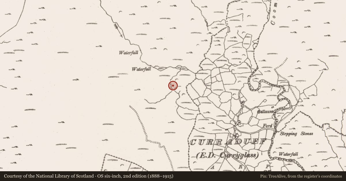 Ordnance Survey six-inch map, 2nd edition (1888–1915) covering the location of Hut site, Rossmackowen Commons, County Cork, with a pin at the register's coordinates