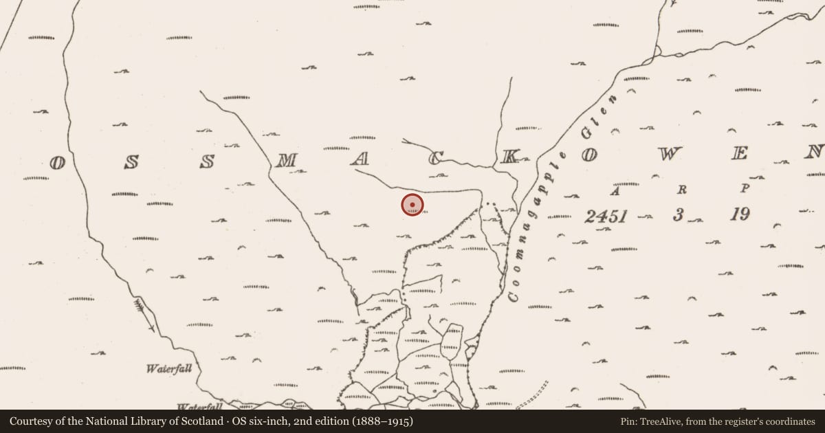 Ordnance Survey six-inch map, 2nd edition (1888–1915) covering the location of Hut site, Rossmackowen Commons, County Cork, with a pin at the register's coordinates