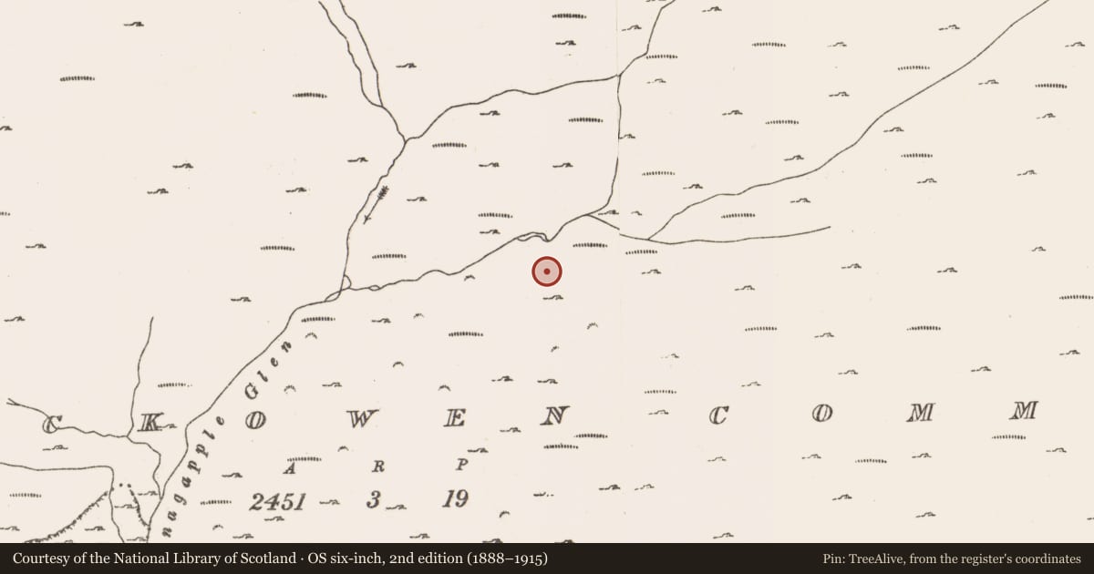 Ordnance Survey six-inch map, 2nd edition (1888–1915) covering the location of Hut site, Rossmackowen Commons, County Cork, with a pin at the register's coordinates