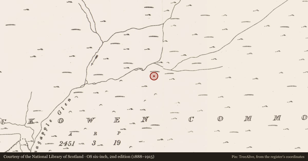 Ordnance Survey six-inch map, 2nd edition (1888–1915) covering the location of Enclosure, Rossmackowen Commons, County Cork, with a pin at the register's coordinates