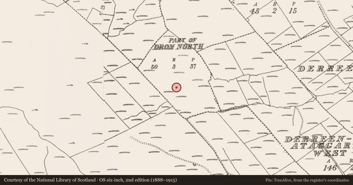 Ordnance Survey six-inch map, 2nd edition (1888–1915) covering the location of Fulacht fia, Drom North, County Cork, with a pin at the register's coordinates