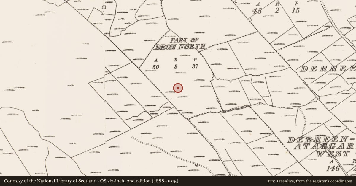 Ordnance Survey six-inch map, 2nd edition (1888–1915) covering the location of Fulacht fia, Drom North, County Cork, with a pin at the register's coordinates