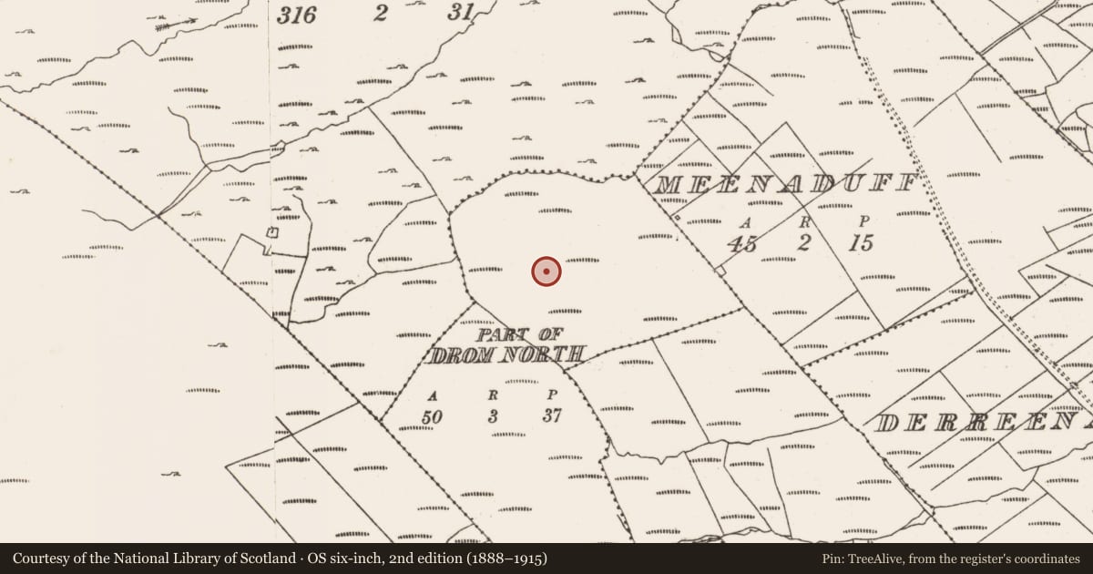 Ordnance Survey six-inch map, 2nd edition (1888–1915) covering the location of Fulacht fia, Drom North, County Cork, with a pin at the register's coordinates