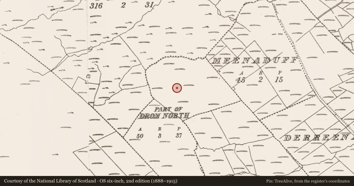 Ordnance Survey six-inch map, 2nd edition (1888–1915) covering the location of Hut site, Drom North, County Cork, with a pin at the register's coordinates