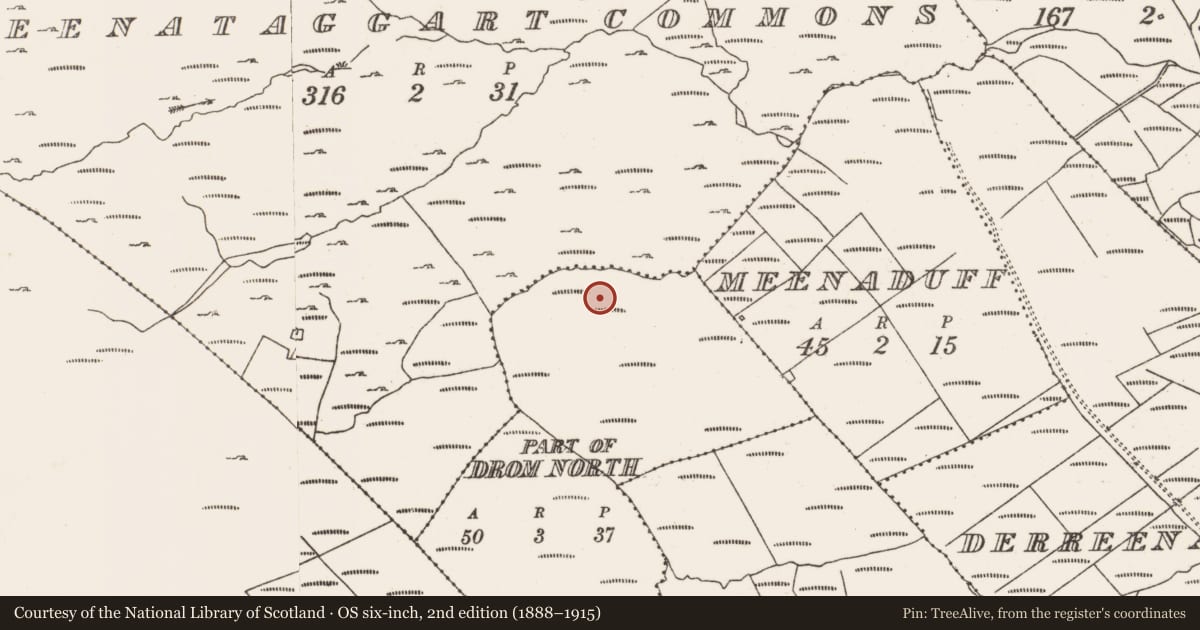 Ordnance Survey six-inch map, 2nd edition (1888–1915) covering the location of Cairn - unclassified, Drom North, County Cork, with a pin at the register's coordinates