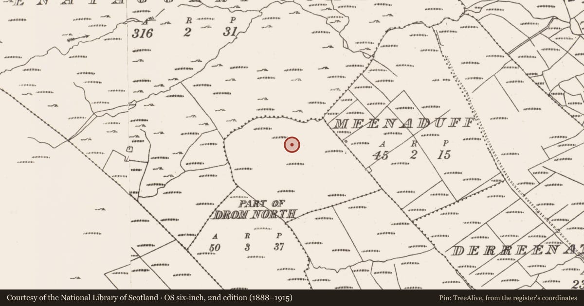 Ordnance Survey six-inch map, 2nd edition (1888–1915) covering the location of Cairn - unclassified, Drom North, County Cork, with a pin at the register's coordinates