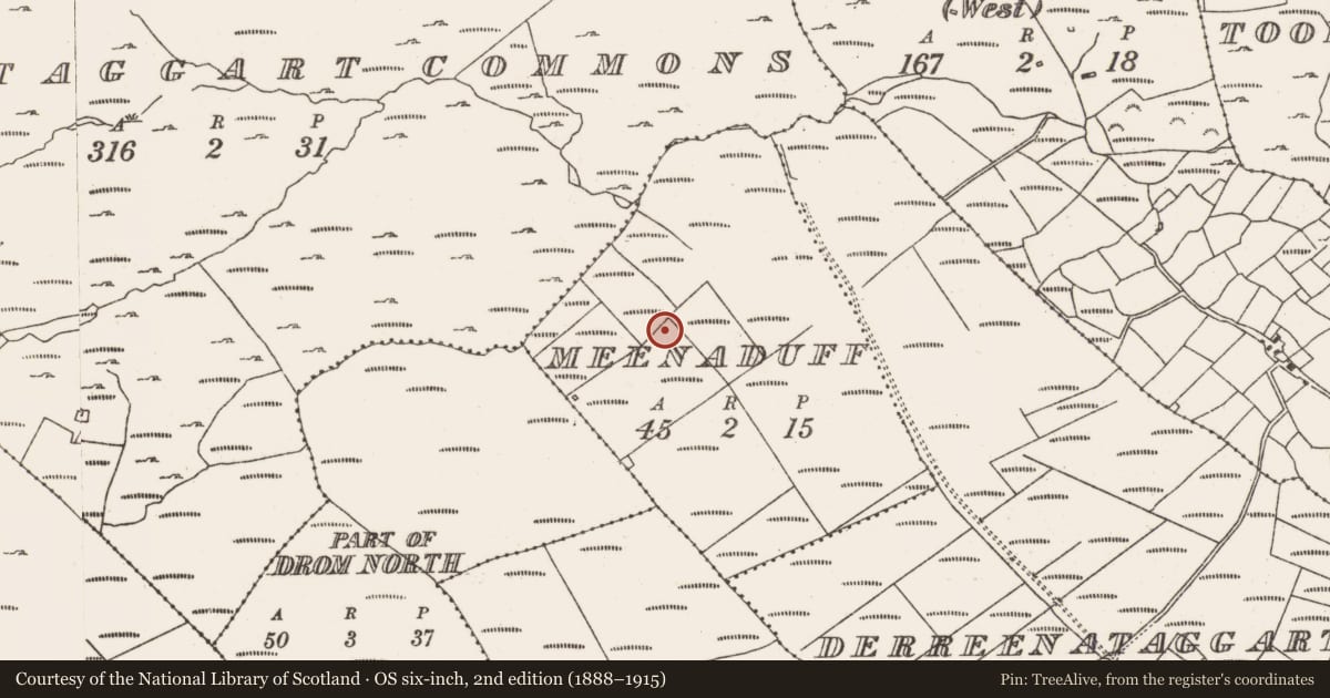 Ordnance Survey six-inch map, 2nd edition (1888–1915) covering the location of Hut site, Meenaduff, County Cork, with a pin at the register's coordinates