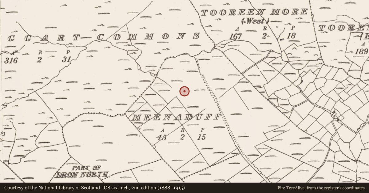 Ordnance Survey six-inch map, 2nd edition (1888–1915) covering the location of Standing stone, Meenaduff, County Cork, with a pin at the register's coordinates