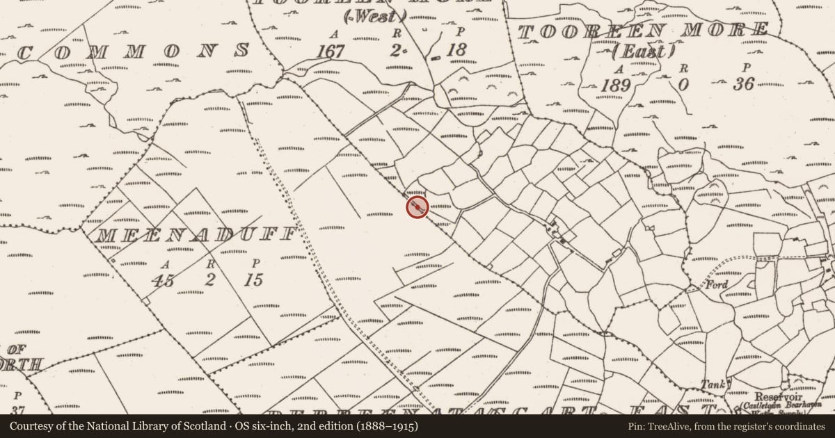 Ordnance Survey six-inch map, 2nd edition (1888–1915) covering the location of Field boundary, County Cork, with a pin at the register's coordinates