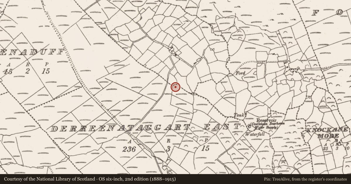 Ordnance Survey six-inch map, 2nd edition (1888–1915) covering the location of Fulacht fia, Derreenataggart East, County Cork, with a pin at the register's coordinates
