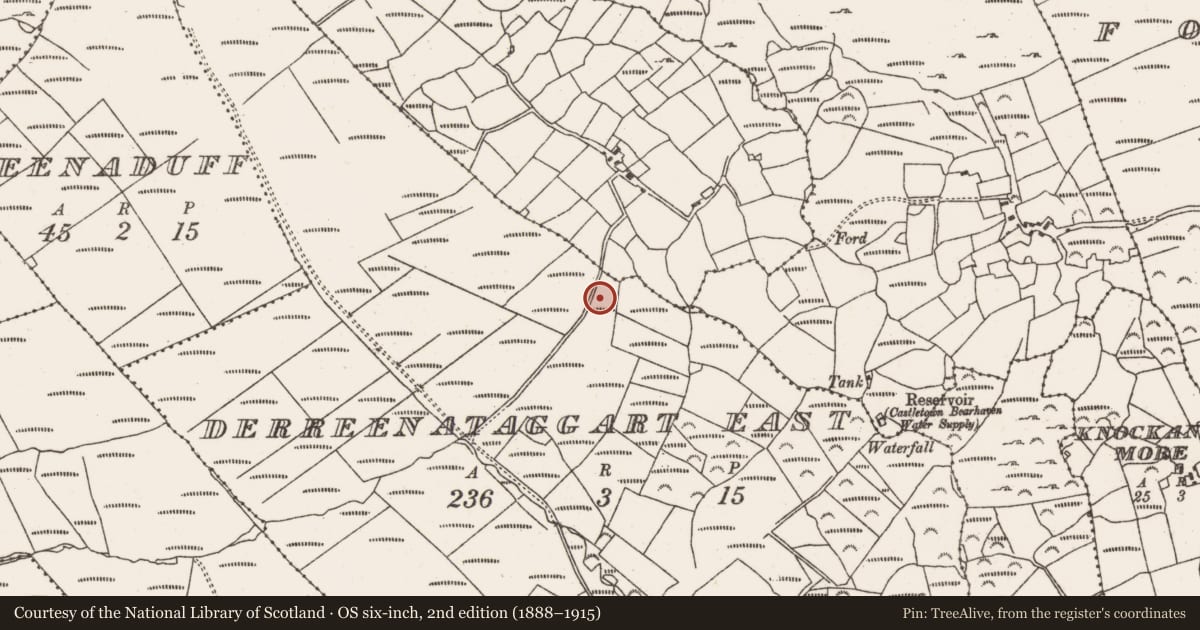 Ordnance Survey six-inch map, 2nd edition (1888–1915) covering the location of Field boundary, Derreenataggart East, County Cork, with a pin at the register's coordinates