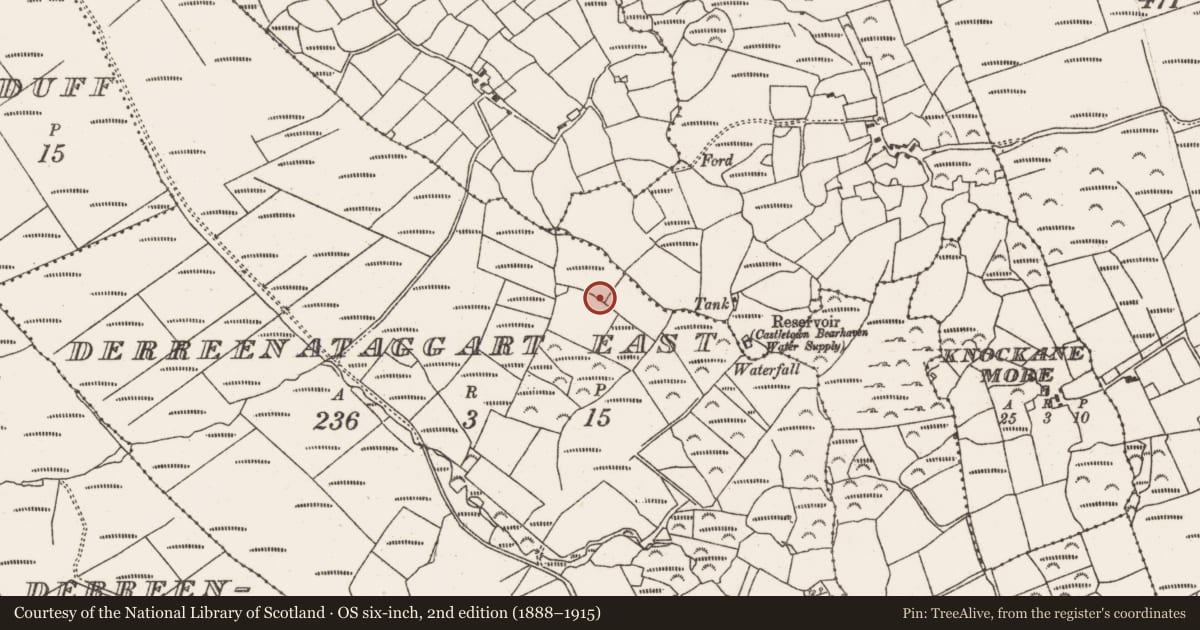 Ordnance Survey six-inch map, 2nd edition (1888–1915) covering the location of Cupmarked stone, Derreenataggart East, County Cork, with a pin at the register's coordinates