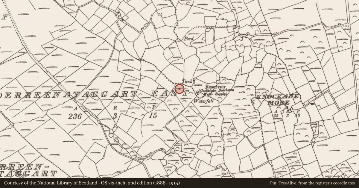 Ordnance Survey six-inch map, 2nd edition (1888–1915) covering the location of Standing stone, Derreenataggart East, County Cork, with a pin at the register's coordinates