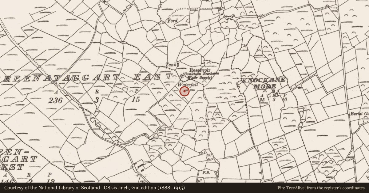 Ordnance Survey six-inch map, 2nd edition (1888–1915) covering the location of Burnt mound, Derreenataggart East, County Cork, with a pin at the register's coordinates