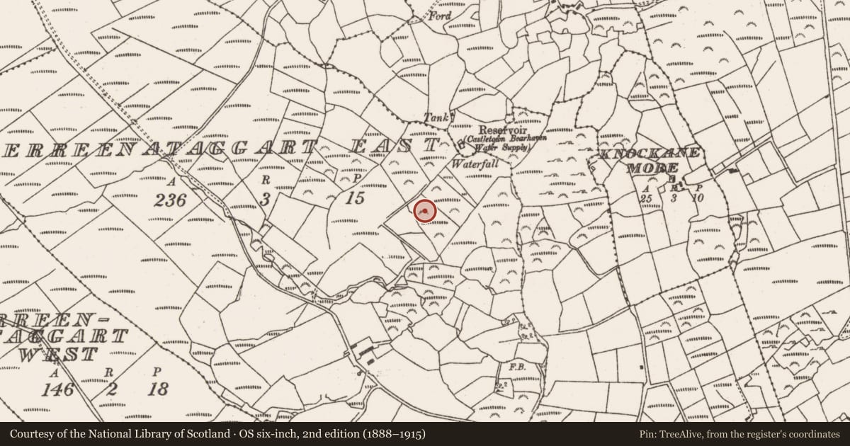 Ordnance Survey six-inch map, 2nd edition (1888–1915) covering the location of Field boundary, Derreenataggart East, County Cork, with a pin at the register's coordinates