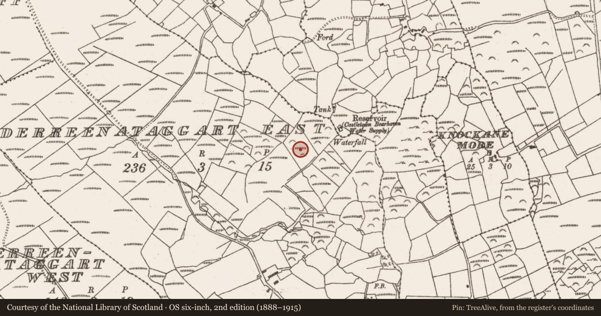 Ordnance Survey six-inch map, 2nd edition (1888–1915) covering the location of Standing stone, Derreenataggart East, County Cork, with a pin at the register's coordinates