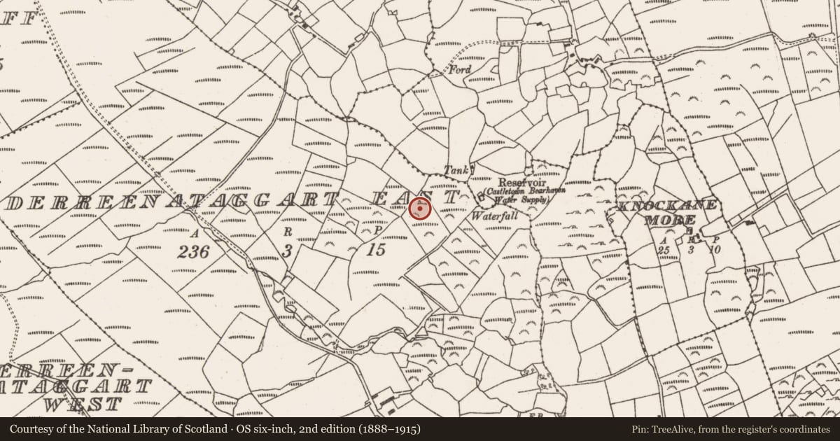 Ordnance Survey six-inch map, 2nd edition (1888–1915) covering the location of Field boundary, Derreenataggart East, County Cork, with a pin at the register's coordinates