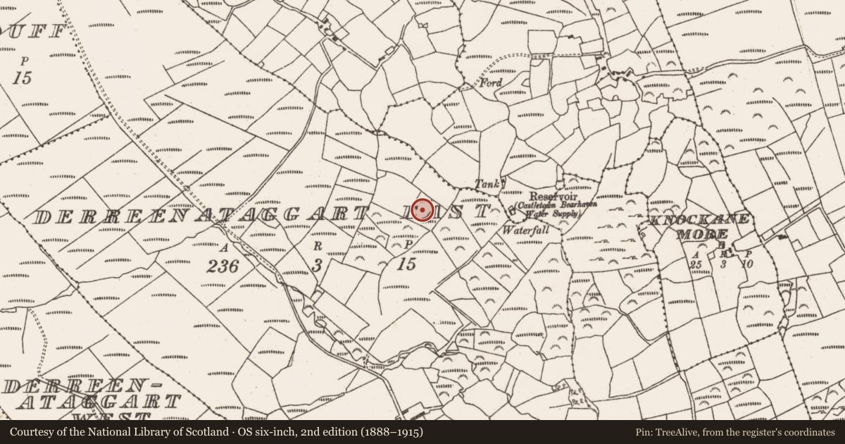 Ordnance Survey six-inch map, 2nd edition (1888–1915) covering the location of Field boundary, Derreenataggart East, County Cork, with a pin at the register's coordinates