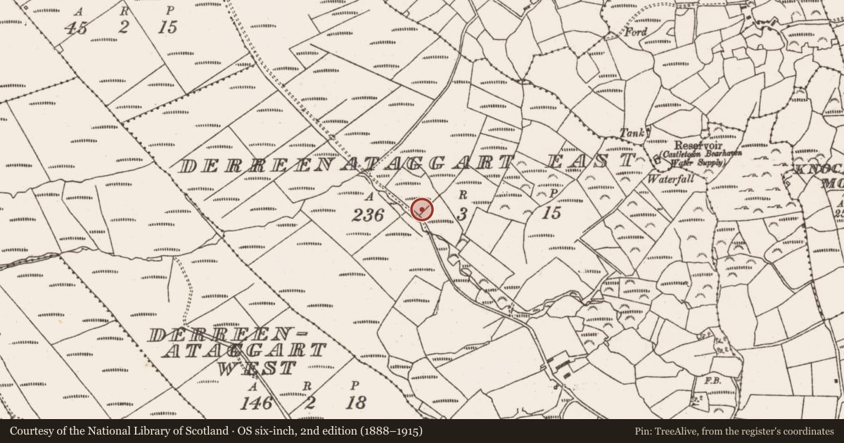 Ordnance Survey six-inch map, 2nd edition (1888–1915) covering the location of Fulacht fia, Derreenataggart East, County Cork, with a pin at the register's coordinates