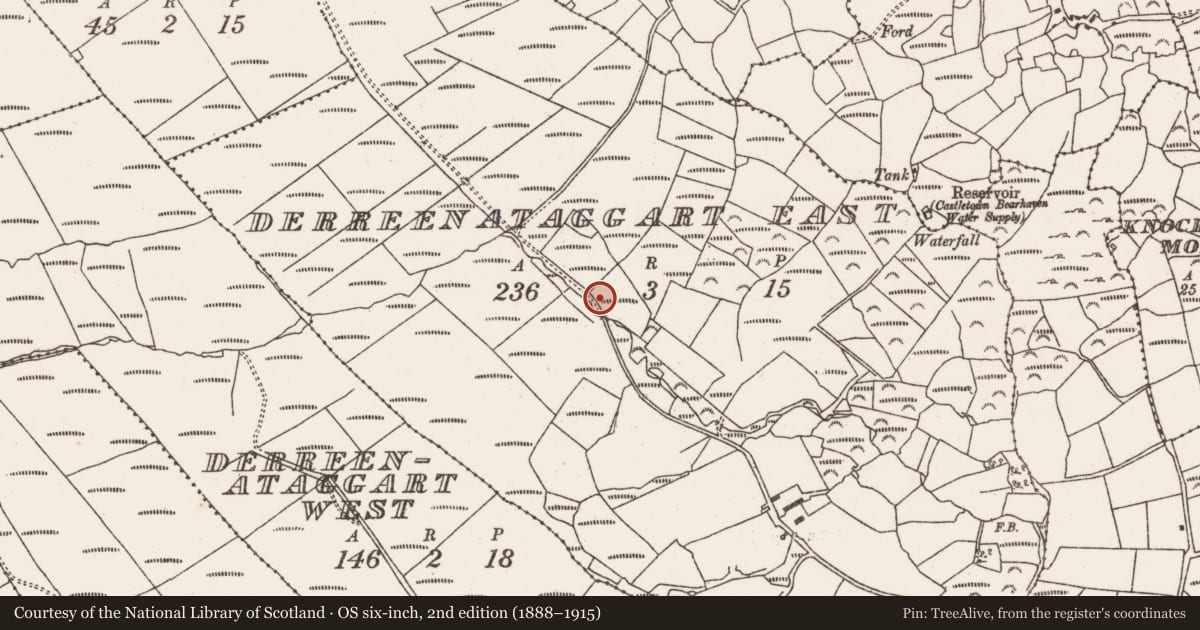Ordnance Survey six-inch map, 2nd edition (1888–1915) covering the location of Fulacht fia, Derreenataggart East, County Cork, with a pin at the register's coordinates