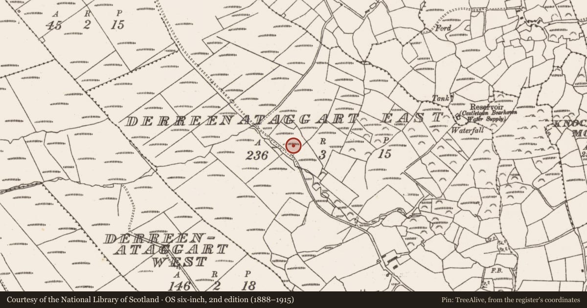 Ordnance Survey six-inch map, 2nd edition (1888–1915) covering the location of Field boundary, Derreenataggart East, County Cork, with a pin at the register's coordinates