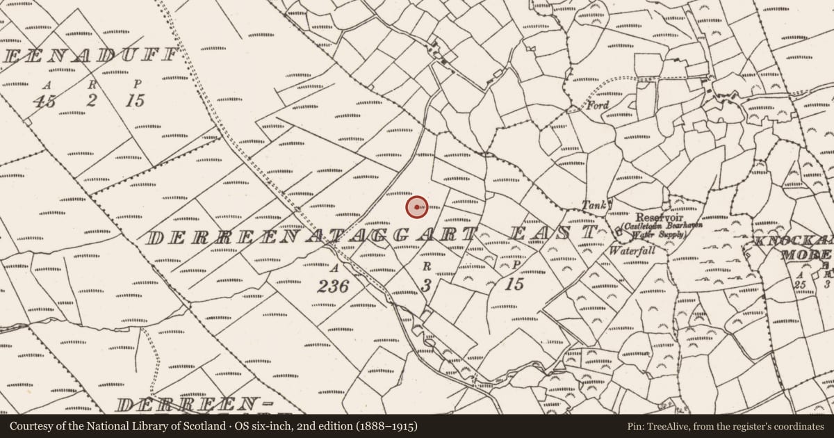 Ordnance Survey six-inch map, 2nd edition (1888–1915) covering the location of Boulder-burial, Derreenataggart East, County Cork, with a pin at the register's coordinates