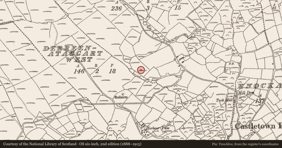 Ordnance Survey six-inch map, 2nd edition (1888–1915) covering the location of Standing stone - pair, Derreenataggart East, County Cork, with a pin at the register's coordinates