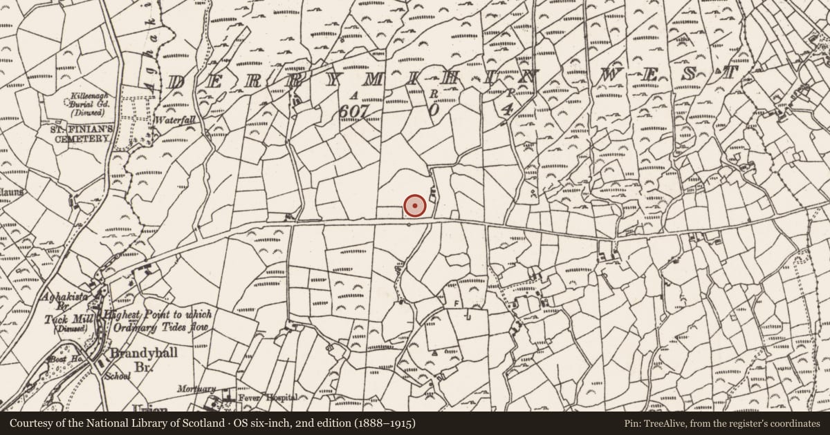 Ordnance Survey six-inch map, 2nd edition (1888–1915) covering the location of Fulacht fia, Derrymihin West, County Cork, with a pin at the register's coordinates
