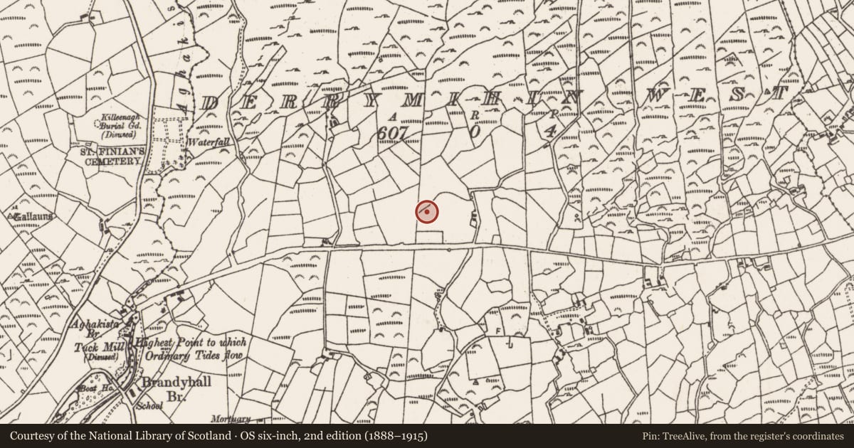 Ordnance Survey six-inch map, 2nd edition (1888–1915) covering the location of Fulacht fia, Derrymihin West, County Cork, with a pin at the register's coordinates