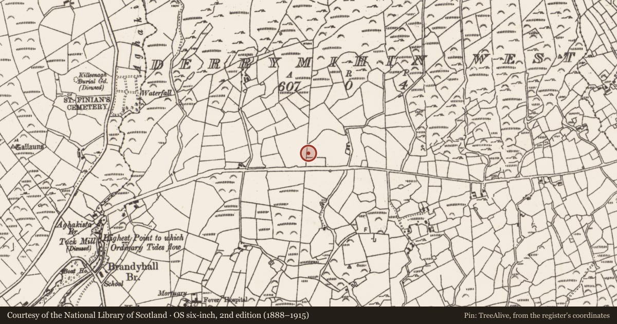 Ordnance Survey six-inch map, 2nd edition (1888–1915) covering the location of Fulacht fia, Derrymihin West, County Cork, with a pin at the register's coordinates