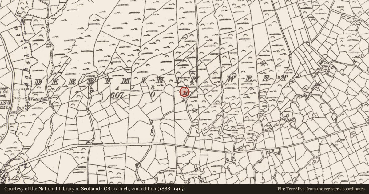 Ordnance Survey six-inch map, 2nd edition (1888–1915) covering the location of Standing stone, Derrymihin West, County Cork, with a pin at the register's coordinates