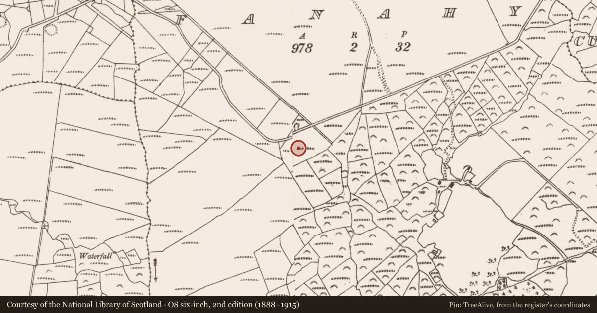 Ordnance Survey six-inch map, 2nd edition (1888–1915) covering the location of Cairn - unclassified, Fanahy, County Cork, with a pin at the register's coordinates