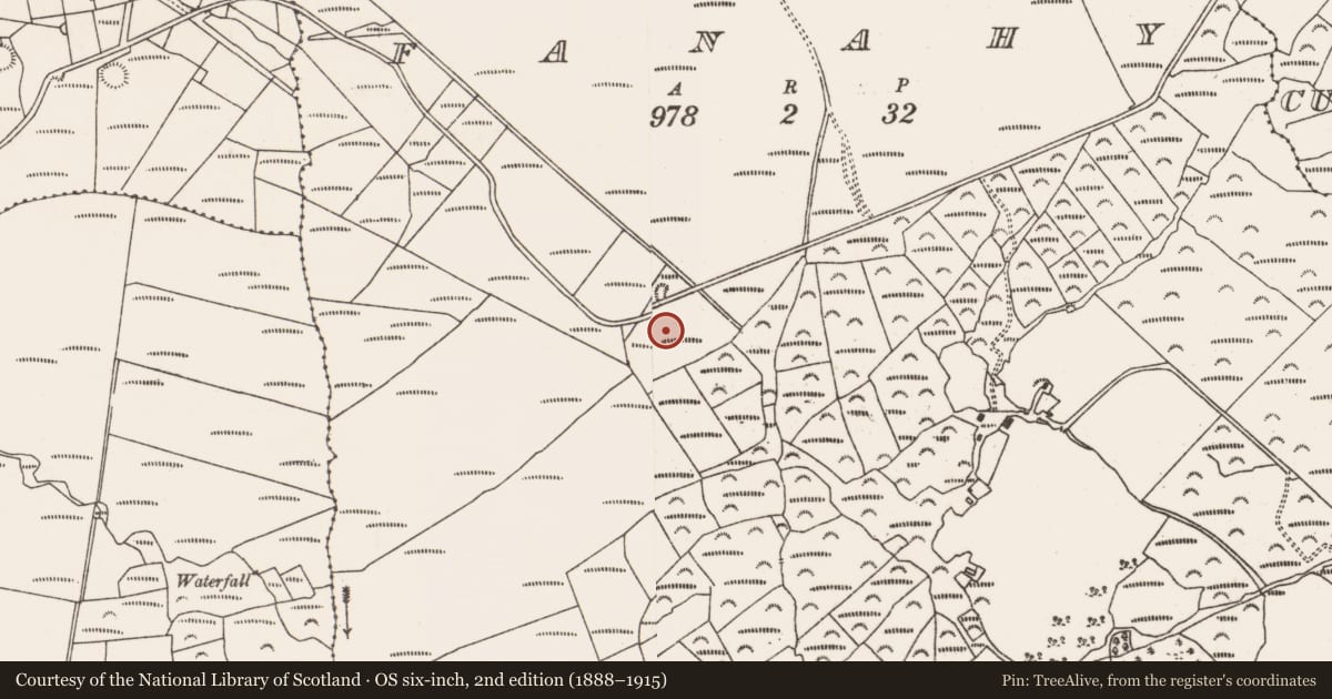 Ordnance Survey six-inch map, 2nd edition (1888–1915) covering the location of Cairn - unclassified, Fanahy, County Cork, with a pin at the register's coordinates