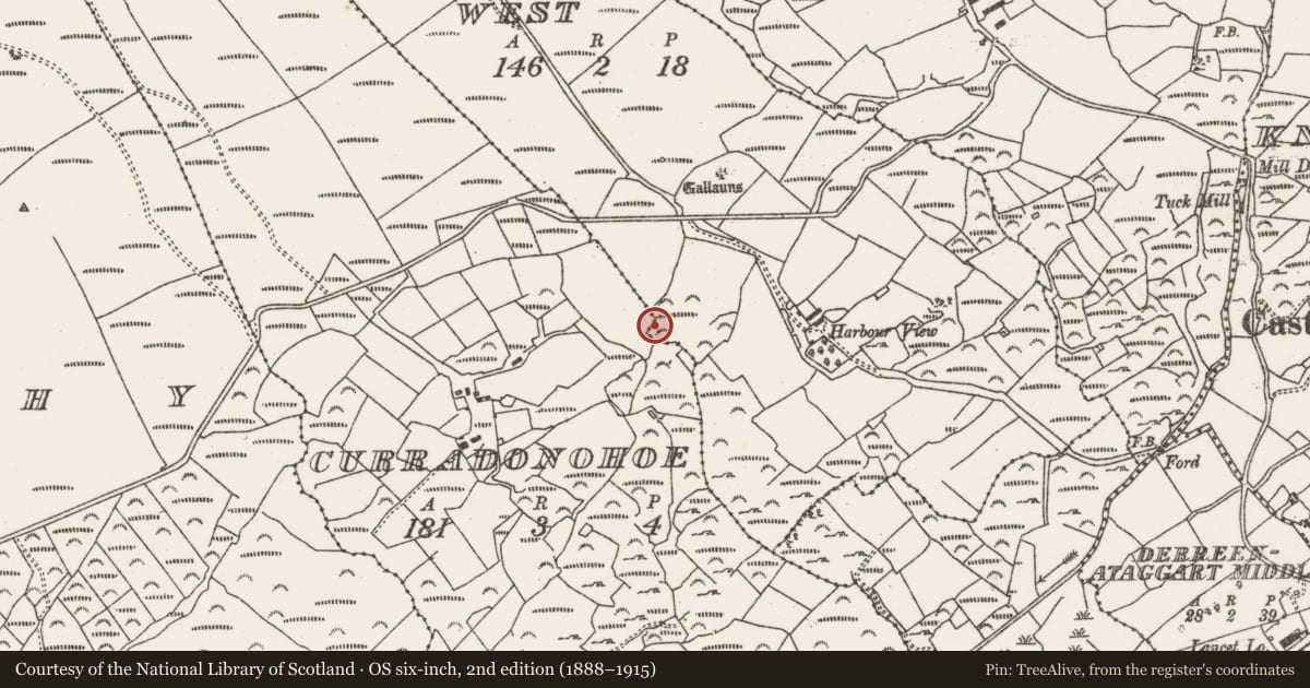 Ordnance Survey six-inch map, 2nd edition (1888–1915) covering the location of Ringfort - rath, Derreenataggart West, County Cork, with a pin at the register's coordinates