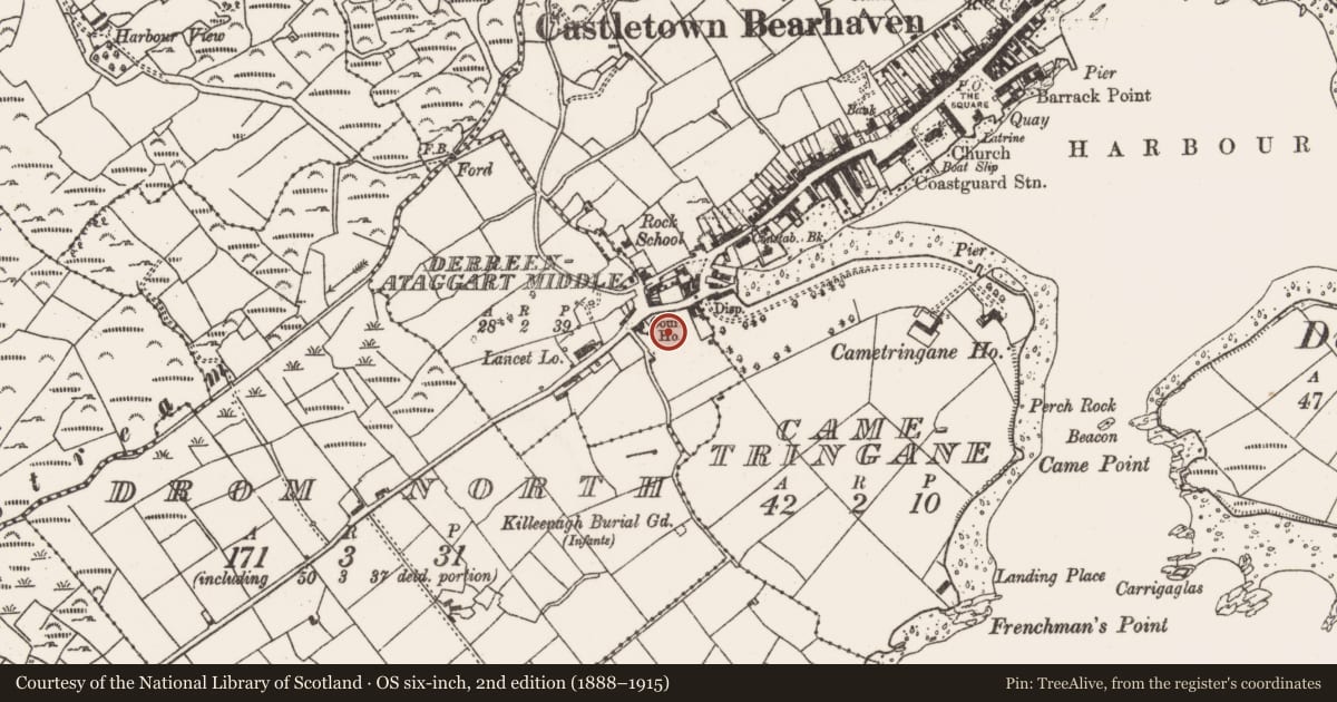 Ordnance Survey six-inch map, 2nd edition (1888–1915) covering the location of Standing stone, Derreenataggart Middle, County Cork, with a pin at the register's coordinates