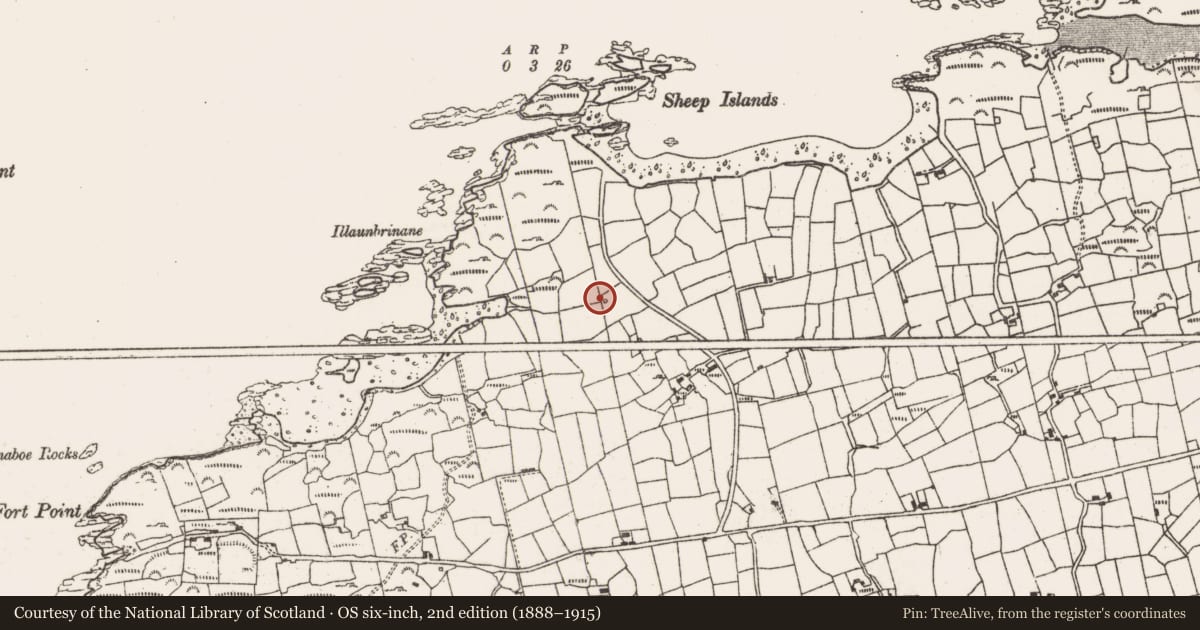 Ordnance Survey six-inch map, 2nd edition (1888–1915) covering the location of Burial ground, Derrycreeveen, County Cork, with a pin at the register's coordinates