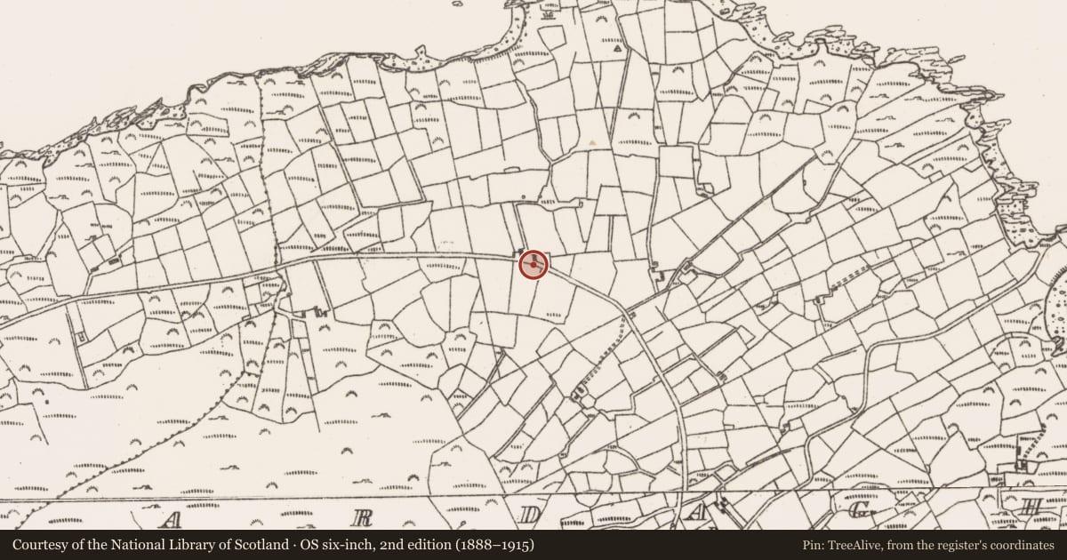 Ordnance Survey six-inch map, 2nd edition (1888–1915) covering the location of Children's burial ground, Ardagh, County Cork, with a pin at the register's coordinates