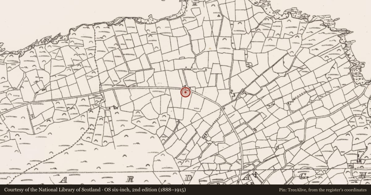 Ordnance Survey six-inch map, 2nd edition (1888–1915) covering the location of Anomalous stone group, Ardagh, County Cork, with a pin at the register's coordinates