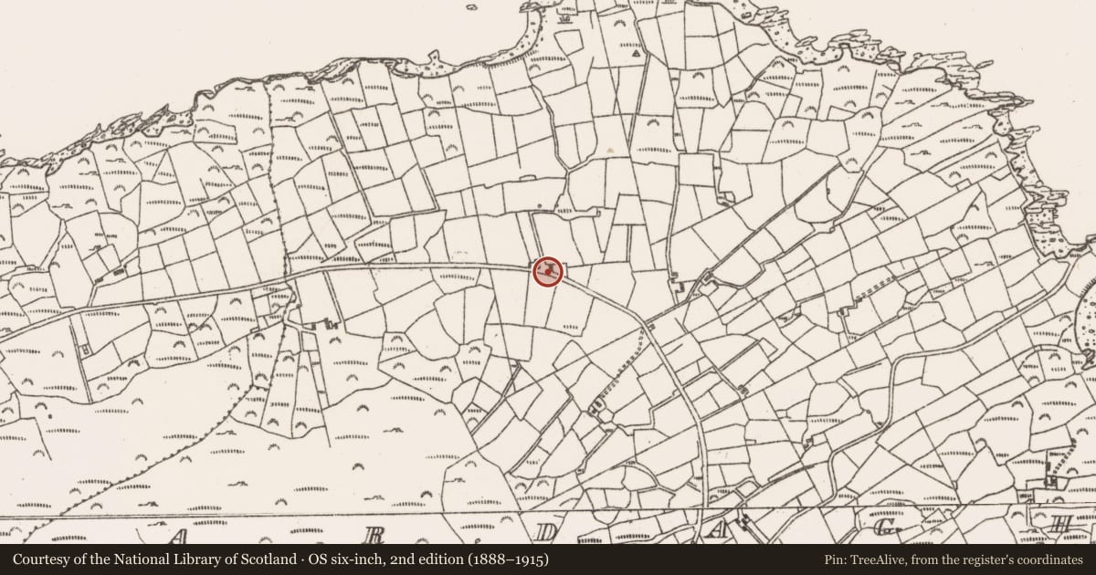 Ordnance Survey six-inch map, 2nd edition (1888–1915) covering the location of Standing stone (present location), Ardagh, County Cork, with a pin at the register's coordinates