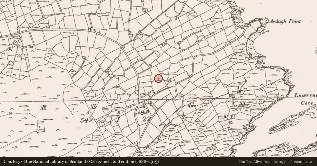 Ordnance Survey six-inch map, 2nd edition (1888–1915) covering the location of Souterrain, Ardagh, County Cork, with a pin at the register's coordinates