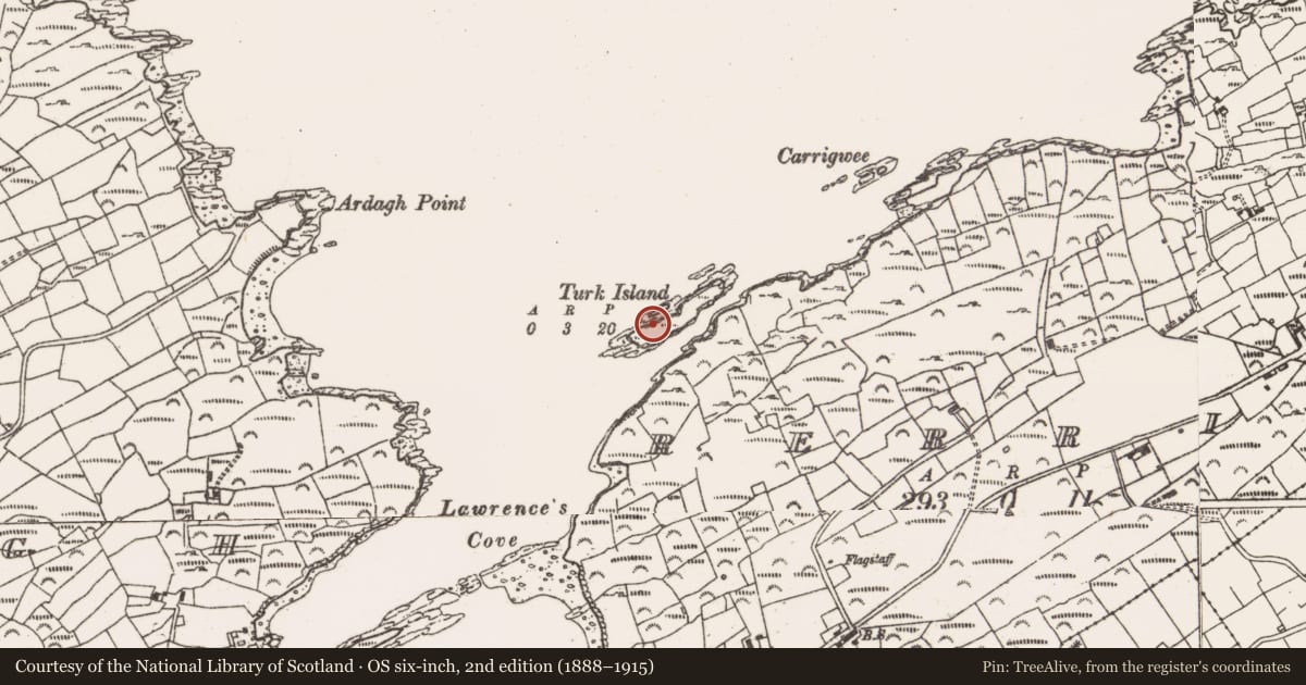Ordnance Survey six-inch map, 2nd edition (1888–1915) covering the location of Burial ground, Rerrin, County Cork, with a pin at the register's coordinates